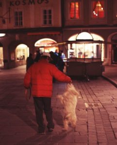 Salzburg 2011