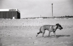 Portugal – Strand und Fischer #1