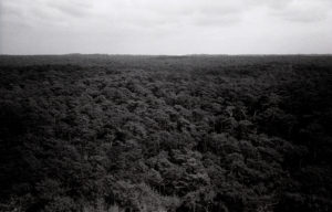 Dune du Pilat & Strand bei Carcans