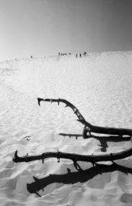 Dune du Pilat & Strand bei Carcans