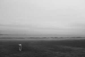 Zeeland