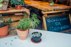 Umbau des Fachgeschäfts für Stadtwandel